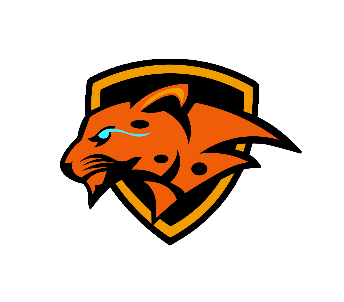 Team Vegavath